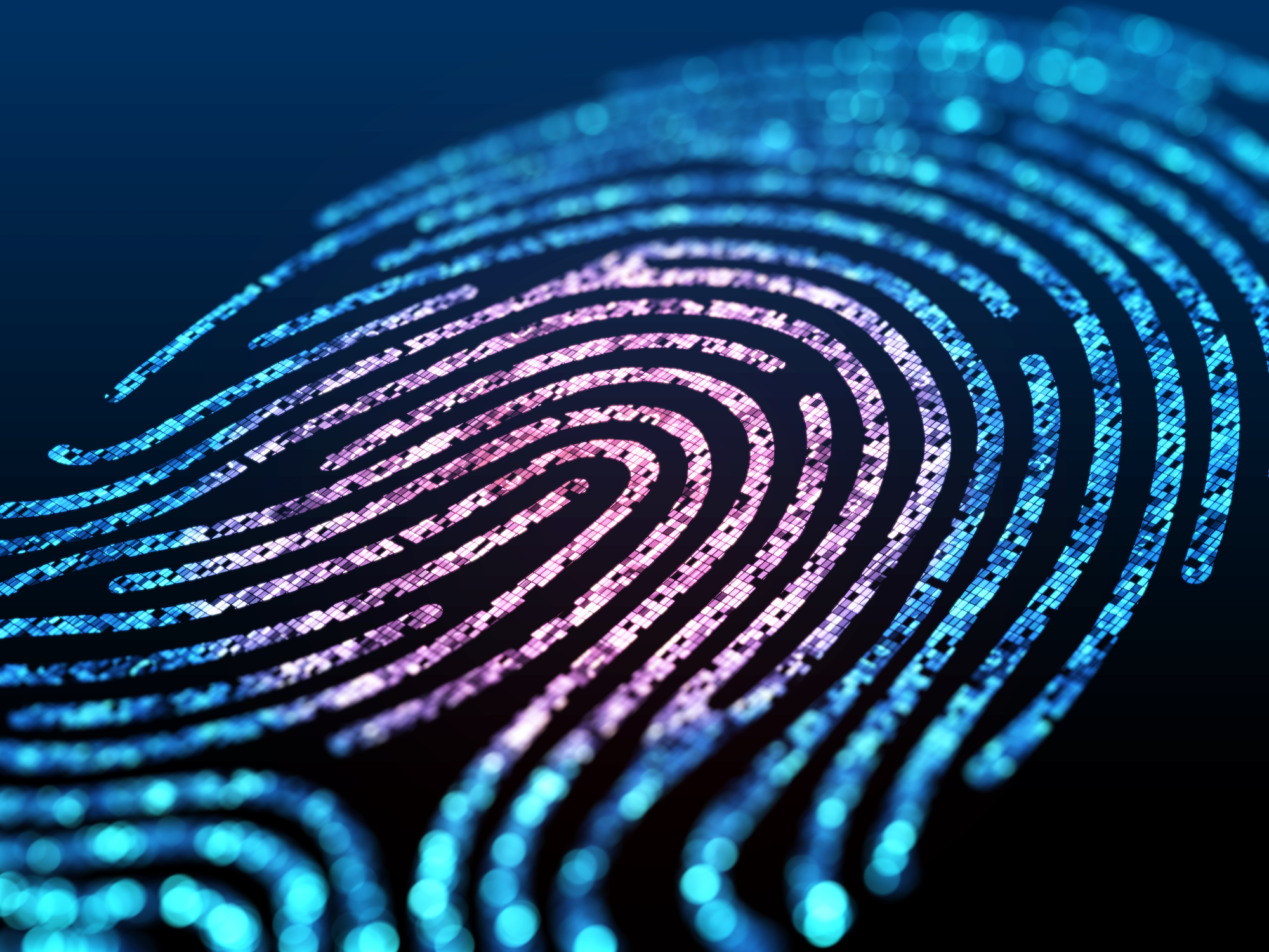 fingerprint