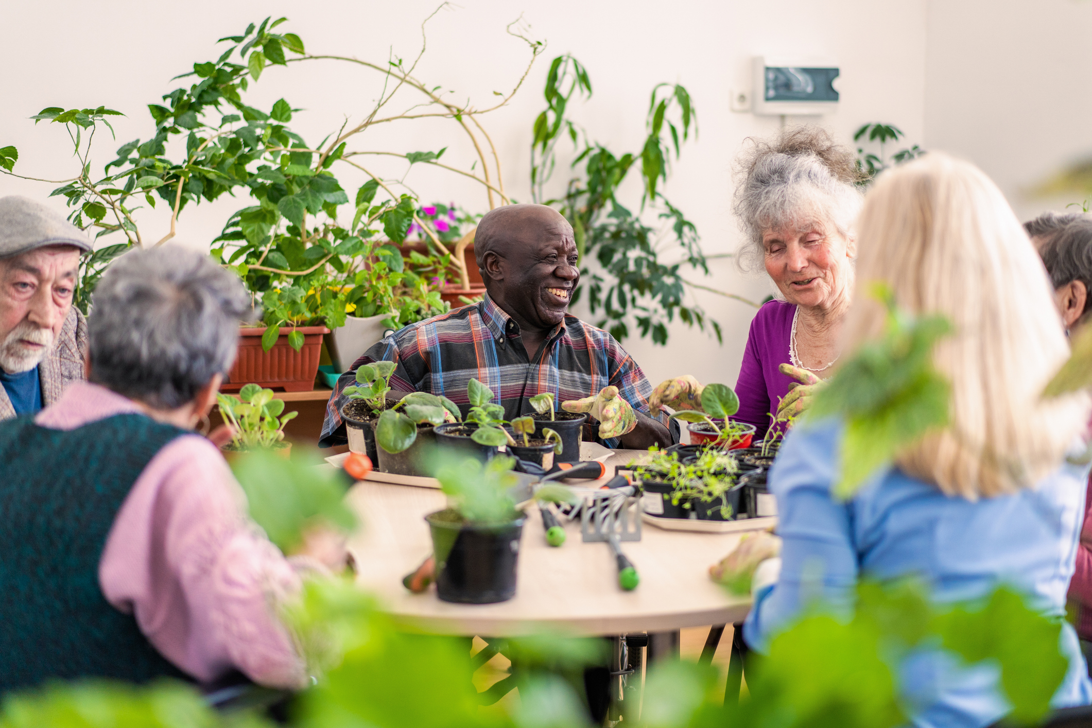 Group of older adults around table with plants